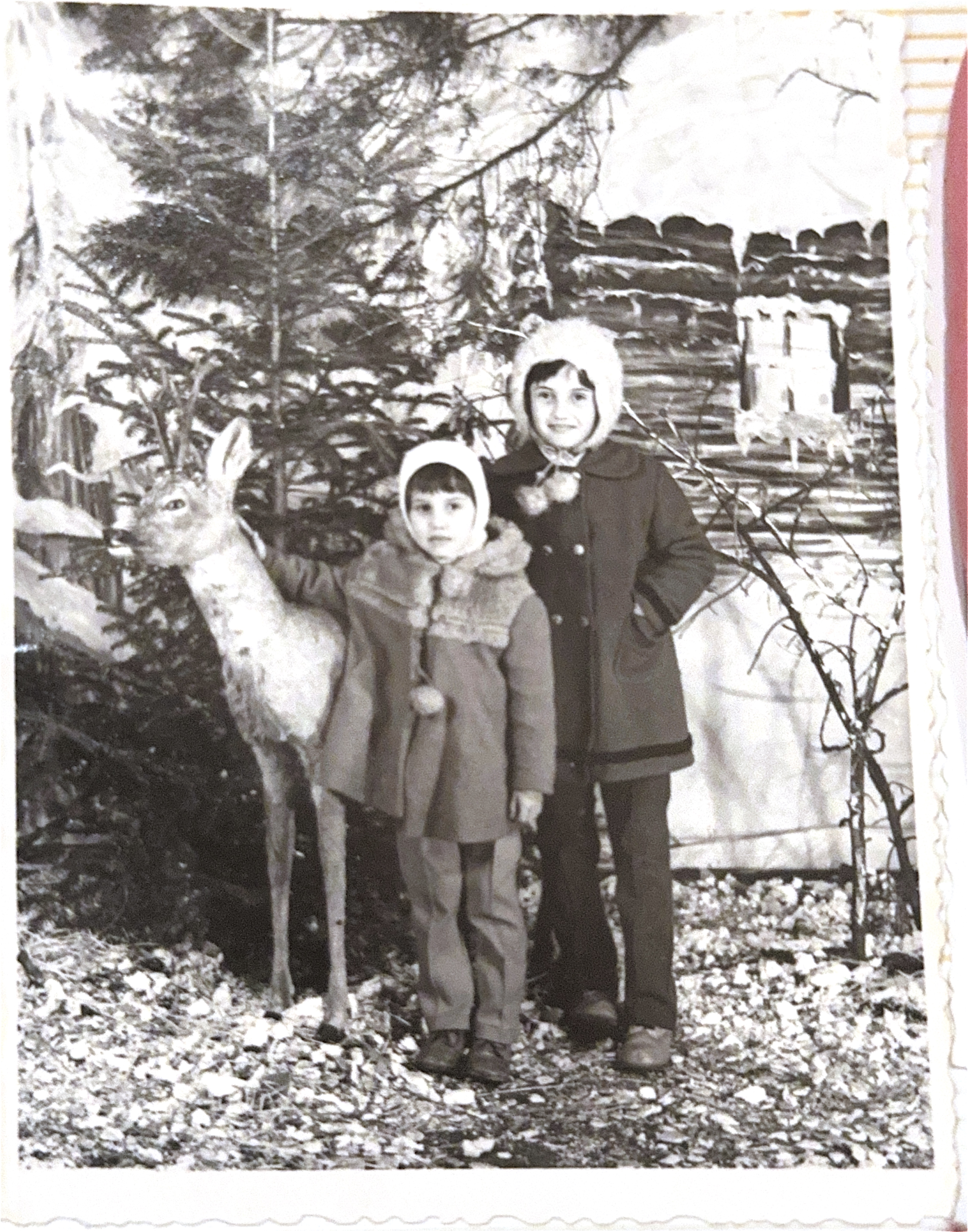 Scanned Documents 11.jpeg